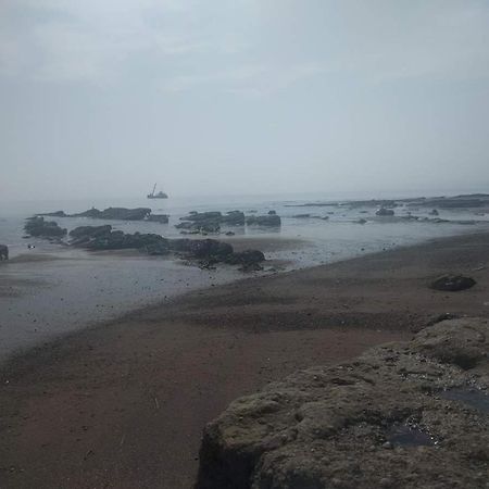 Seaside Guest House A Stone'S Throw From The Beach Dawlish Eksteriør bilde